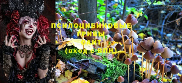 не бодяженный Арсеньев