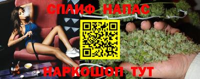 трава Пугачёв