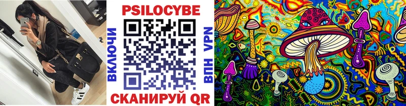 кракен онион  Курган  Псилоцибиновые грибы мухоморы  что такое  