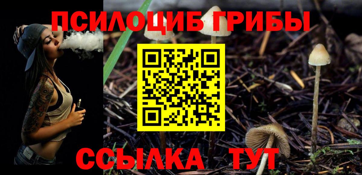 Курган  Галлюциногенные грибы Psilocybine cubensis  Вход с VPN 